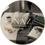 NAZMEDIA, LLC - Home